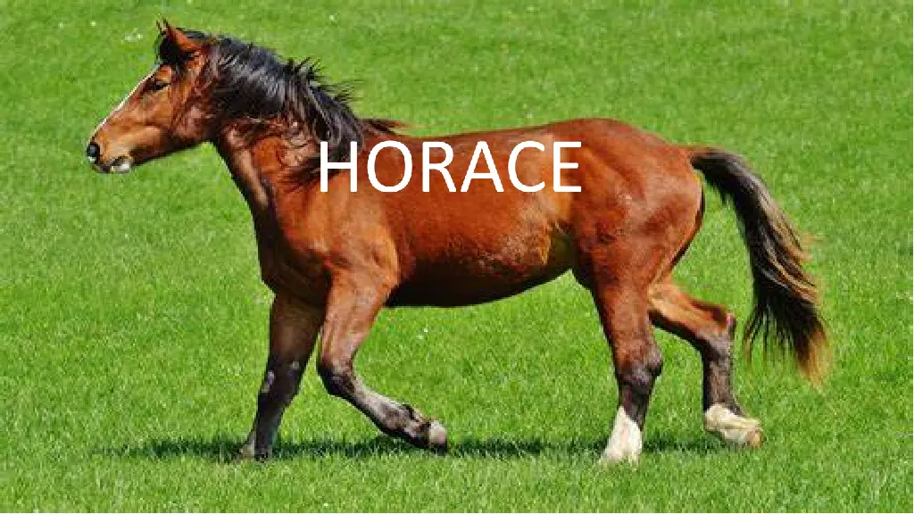 Horace