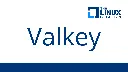 Linux Foundation Launches Open Source Valkey Community (Alternative to Redis)