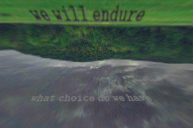 Upside down, forested hills, and grassy field in the foreground with the words "we will endure" in black and grey. The cloudy sky reads "what choice do we have".