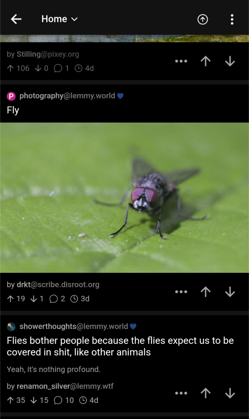 fly photo over fly shower thought
