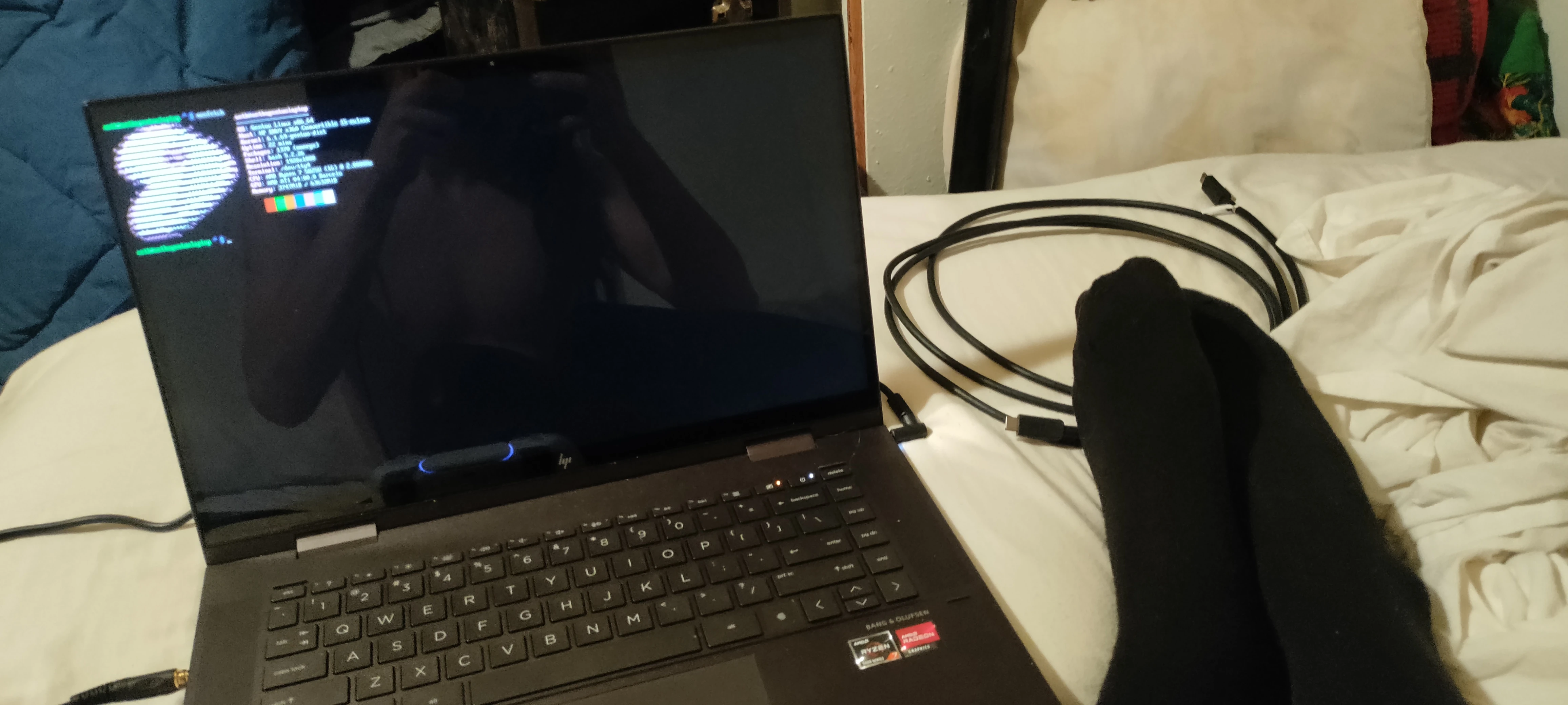 neofetch on HP laptop 64GB RAM black socks USB c cable in view