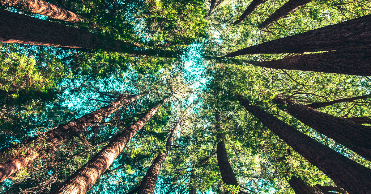 Distributed PostgreSQL Benchmarks: Azure Cosmos DB, CockroachDB, and YugabyteDB