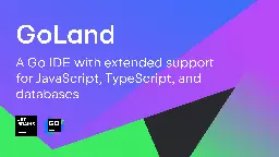 Goland 2024.1 Beta Is Out! | The GoLand Blog