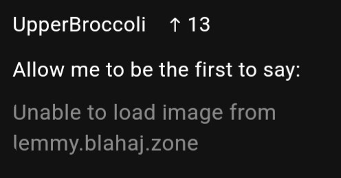 screenshot of the comment I reply to, it reads "Allow me to be the first to say: Unable to load image fromlemmy.blahaj.zone"
