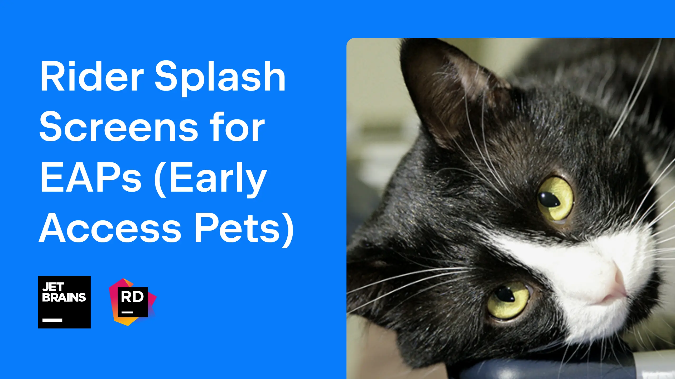 Rider Splash Screens for EAPs (Early Access Pets) | The .NET Tools Blog