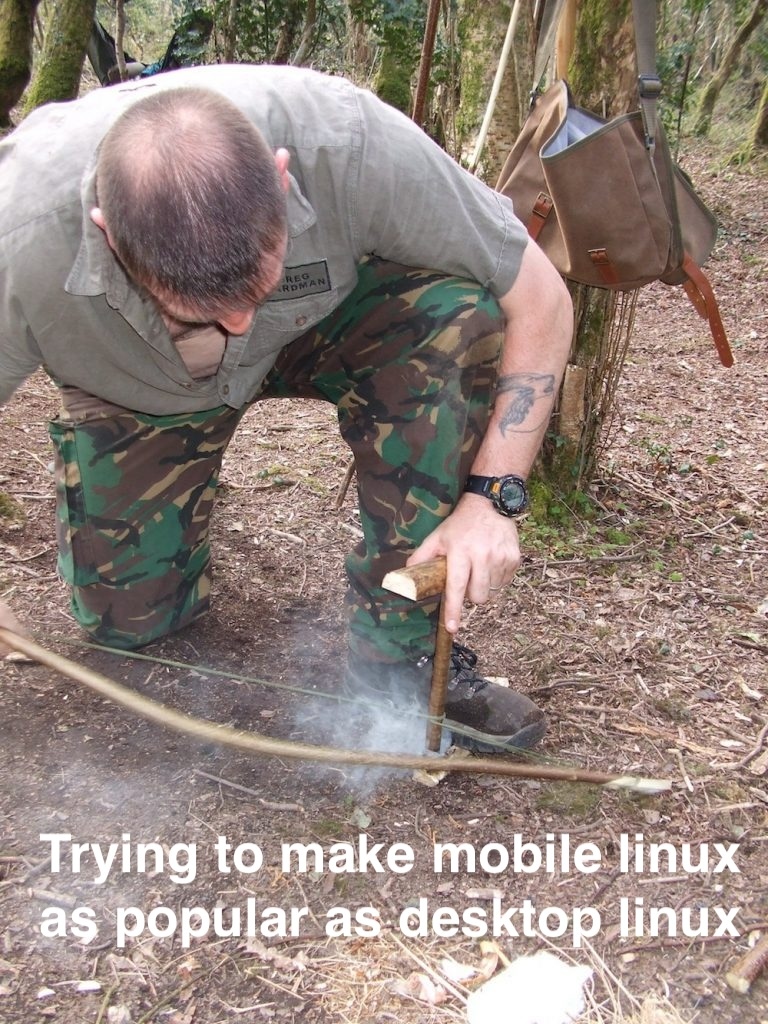 Meme of guy in forest trying to start a fire with the caption “trying to make linux mobile as popular as desktop linux”