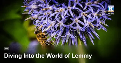 Diving Into the World of Lemmy - kiko.io