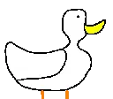 duck_lol