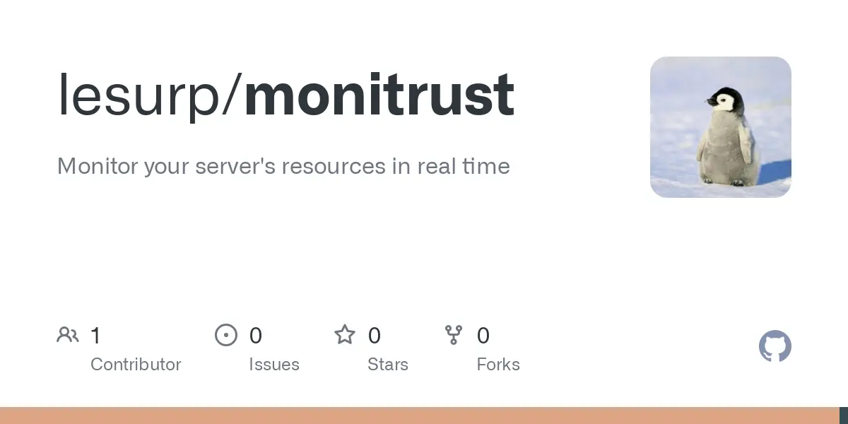 GitHub - lesurp/monitrust: Monitor your server's resources in real time