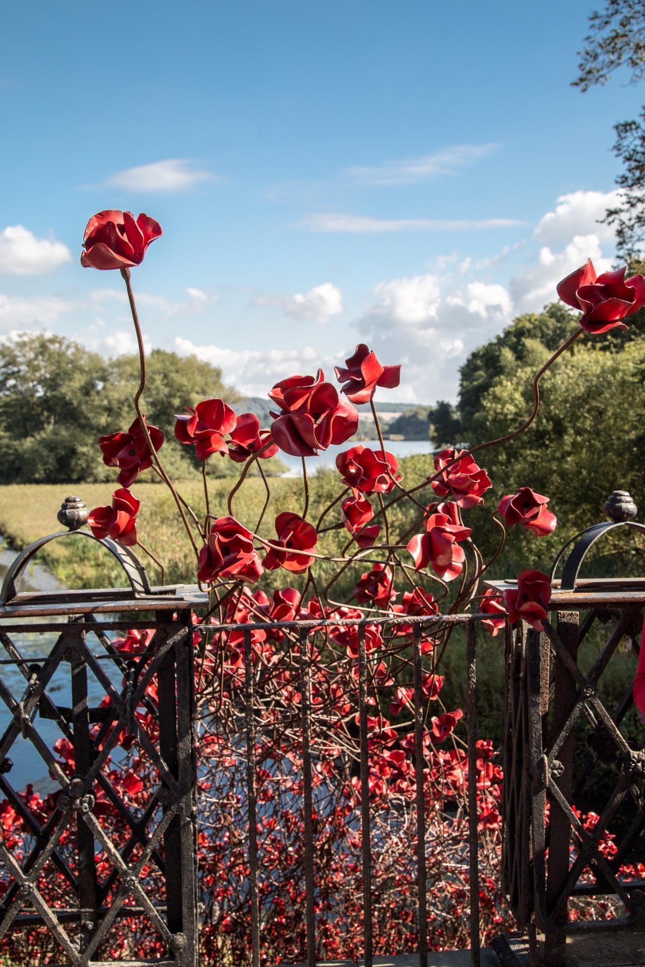 Veduta della campagna attraverso una balconata in ferro battuto decorata con i poppies of Remembrance, i finti papaveri utilizzati negli USA a scopo ornamentale per il Giorno del Ricordo, celebrazione annuale dedicata ai veterani di guerra 