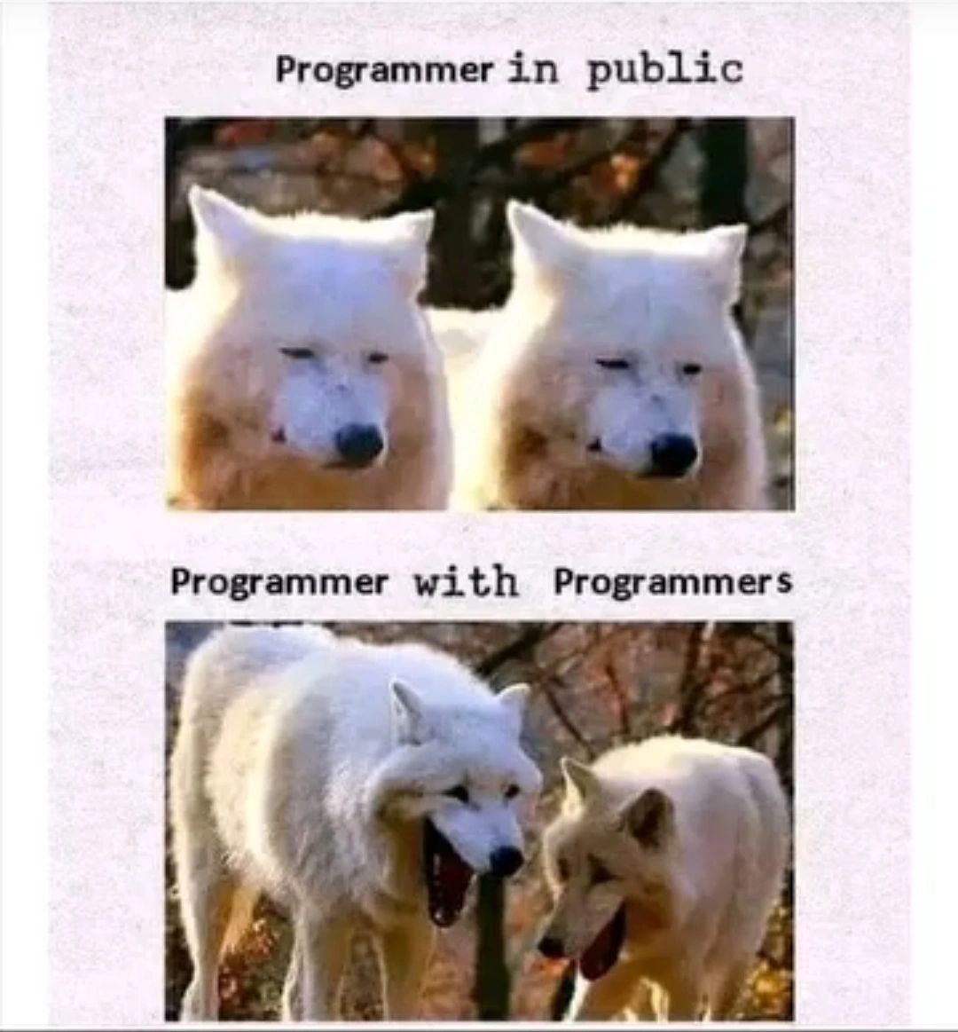 When programmers meet