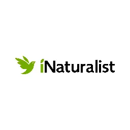 About
 ·  iNaturalist