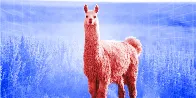 The first GPT-4-class AI model anyone can download has arrived: Llama 405B