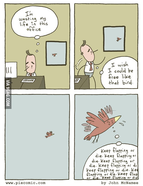 comic where human sees a bird and wishes to be as free, while bird only thought is "keep flapping or die"