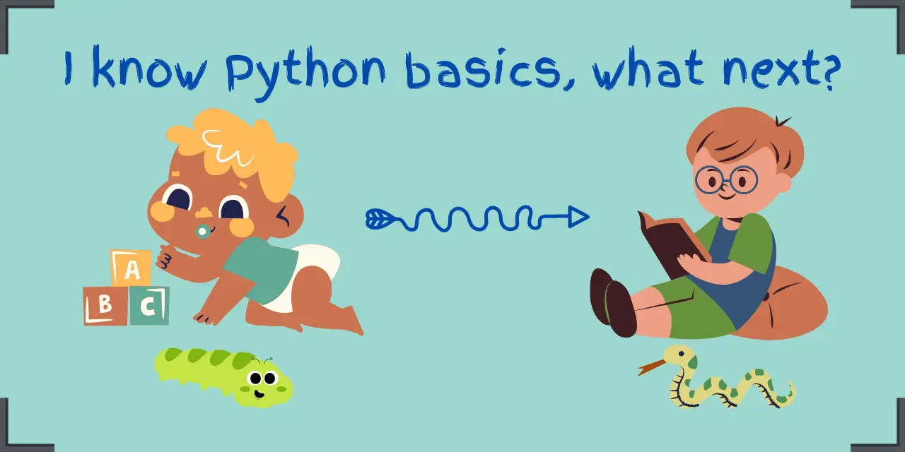 I know Python basics, what next?