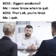 Job interview be like