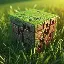 minecraft_dev