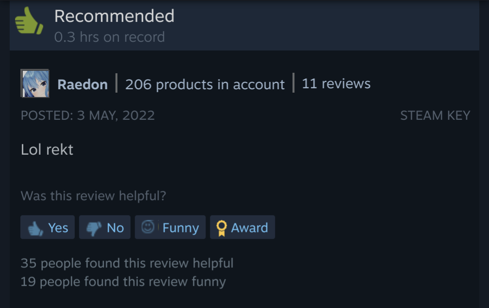another review of the same game, it is positive and the text is just "Lol rekt"